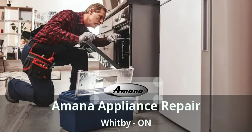 Amana Appliance Repair Whitby - ON