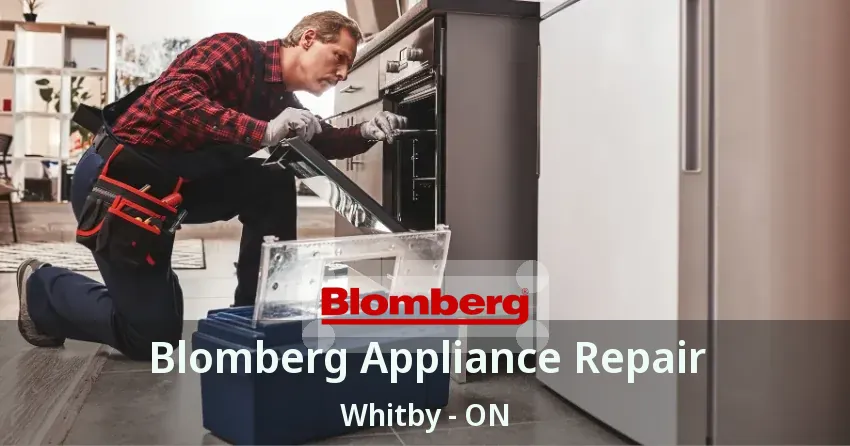 Blomberg Appliance Repair Whitby - ON