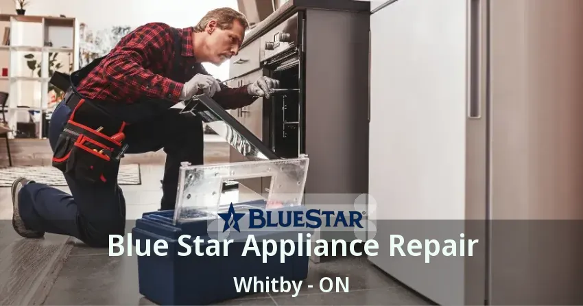Blue Star Appliance Repair Whitby - ON