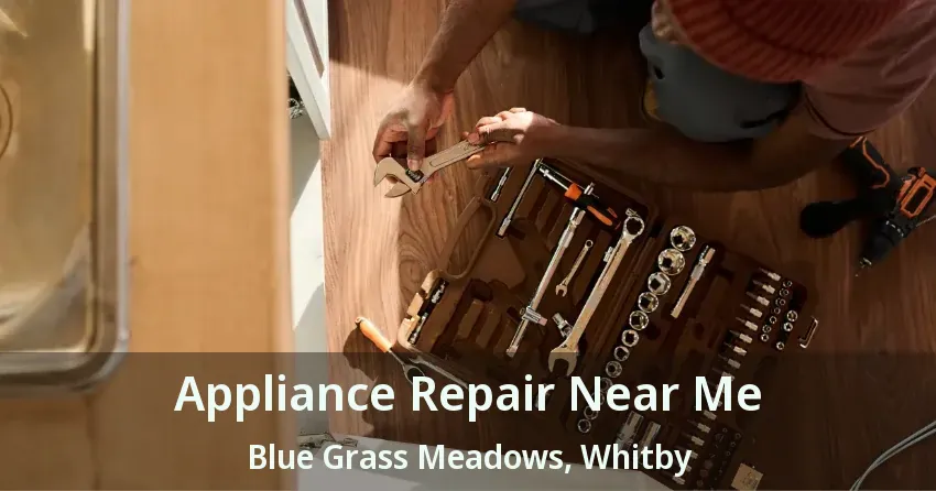 Appliance Repair Near Me Blue Grass Meadows, Whitby - ON