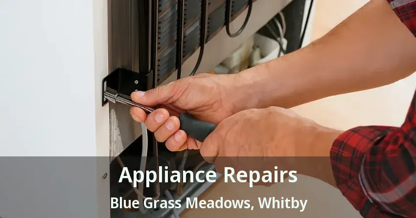 Appliance Repairs Blue Grass Meadows, Whitby - ON