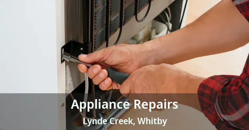 Appliance Repairs Lynde Creek, Whitby - ON