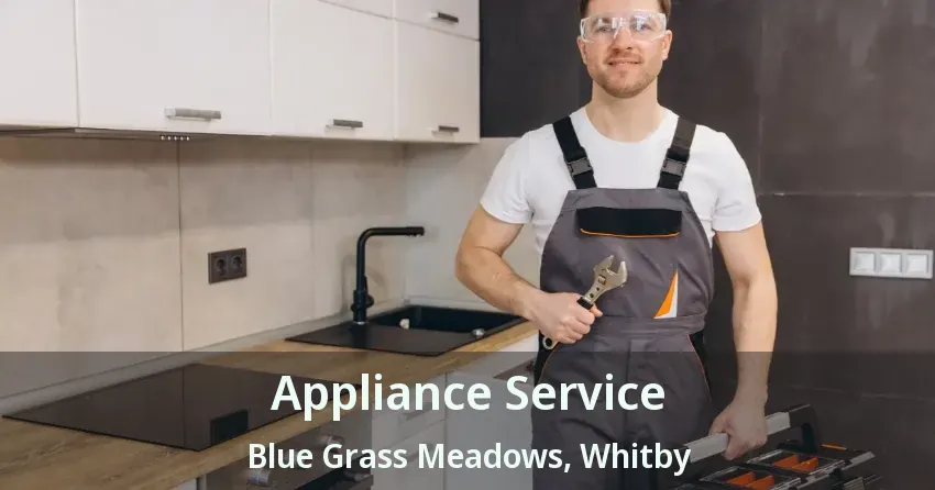 Appliance Service Blue Grass Meadows, Whitby - ON