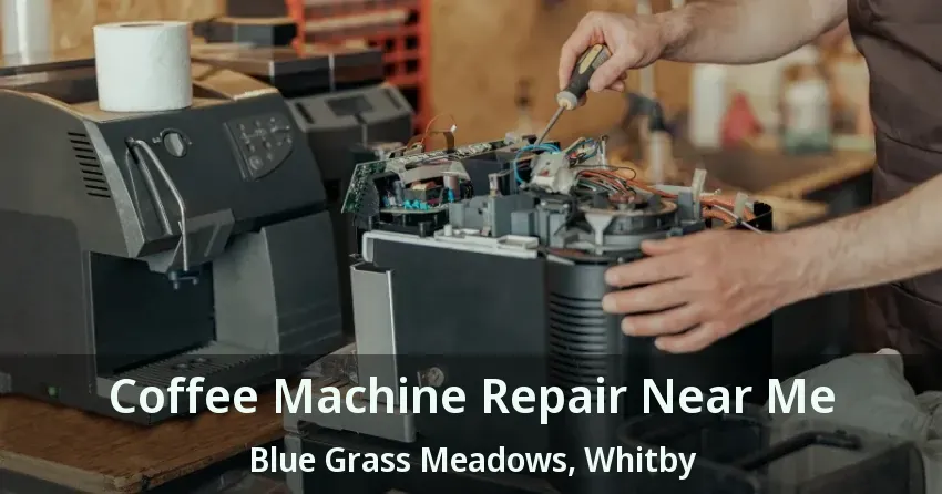 Coffee Machine Repair Near Me Blue Grass Meadows, Whitby - ON