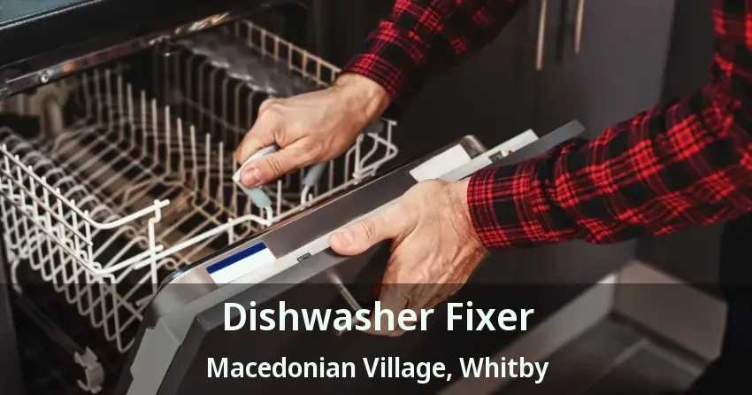 Dishwasher Fixer Macedonian Village, Whitby - ON