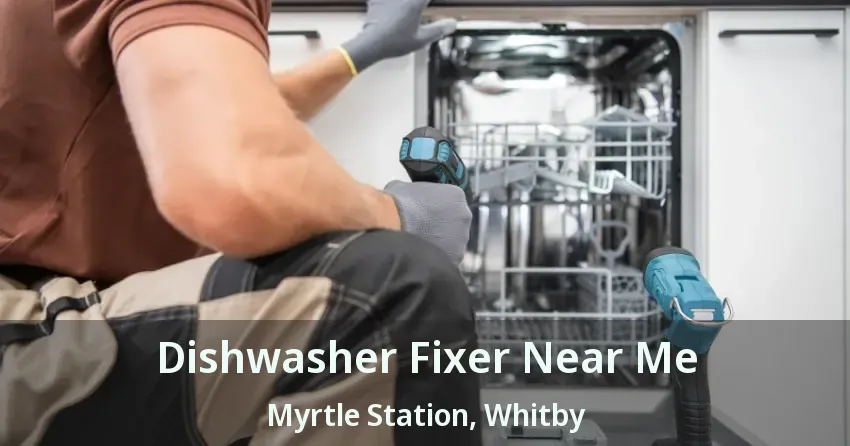 Dishwasher Fixer Near Me Myrtle Station, Whitby - ON