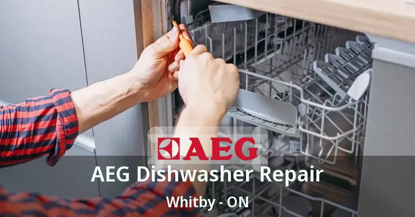 AEG Dishwasher Repair Whitby - ON