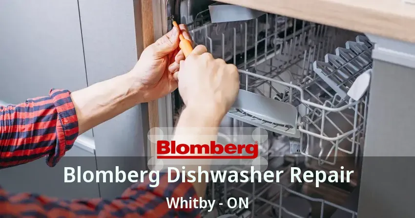 Blomberg Dishwasher Repair Whitby - ON