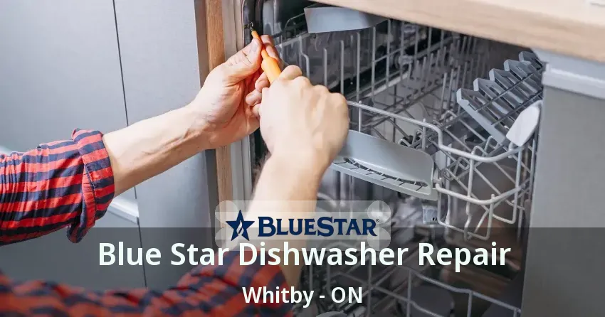 Blue Star Dishwasher Repair Whitby - ON