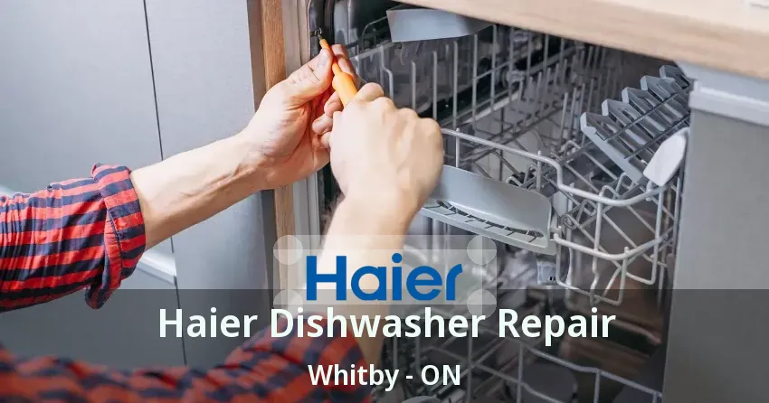 Haier Dishwasher Repair Whitby - ON
