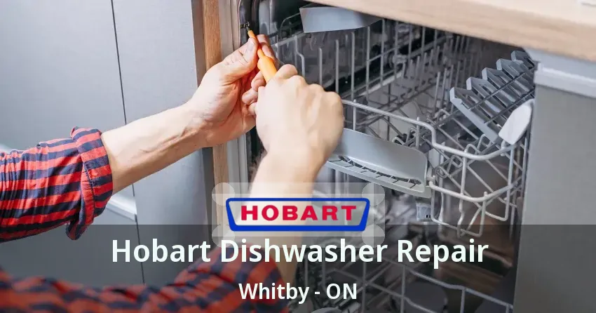 Hobart Dishwasher Repair Whitby - ON