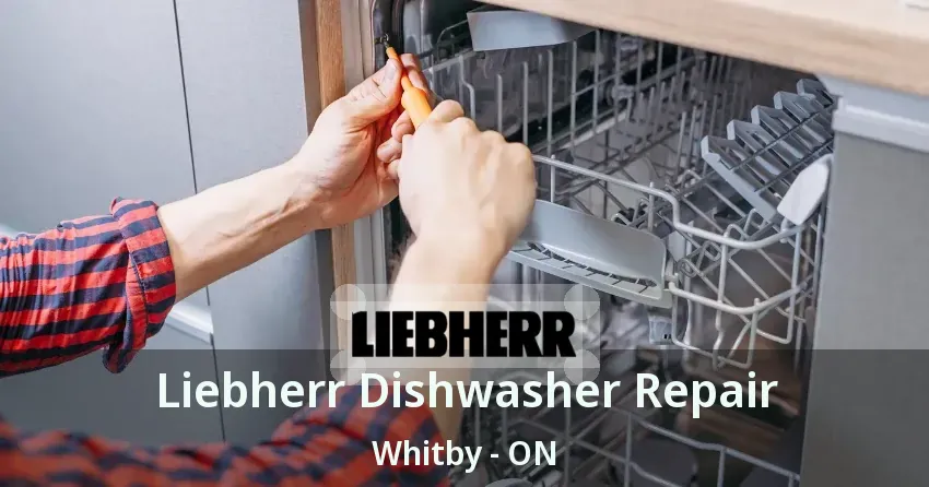 Liebherr Dishwasher Repair Whitby - ON