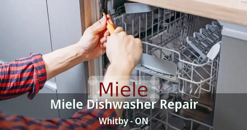 Miele Dishwasher Repair Whitby - ON
