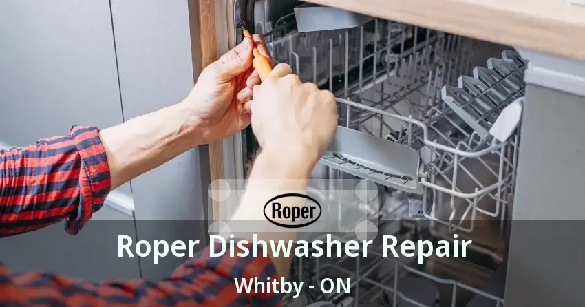 Roper Dishwasher Repair Whitby - ON