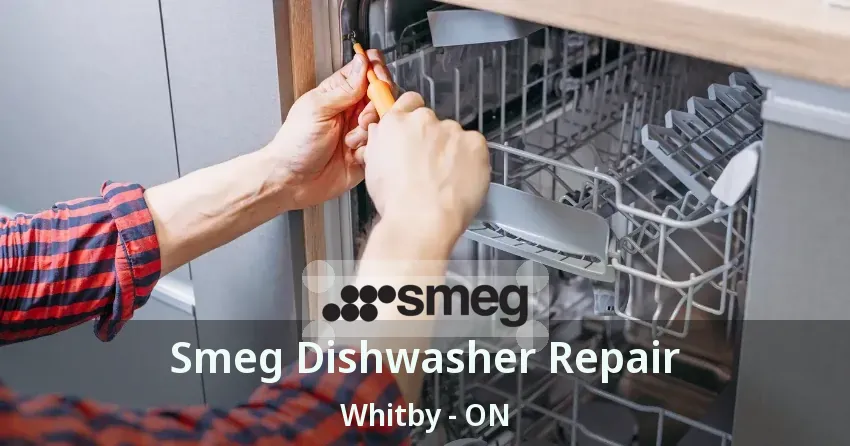 Smeg Dishwasher Repair Whitby - ON