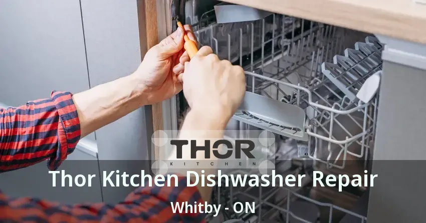 Thor Kitchen Dishwasher Repair Whitby - ON