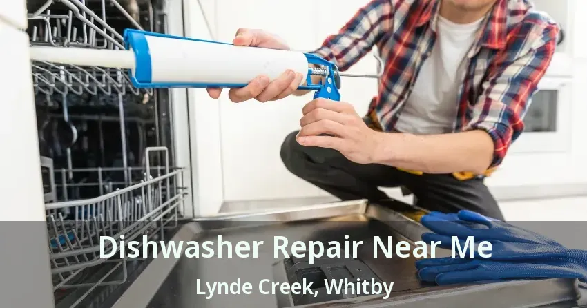Dishwasher Repair Near Me Lynde Creek, Whitby - ON