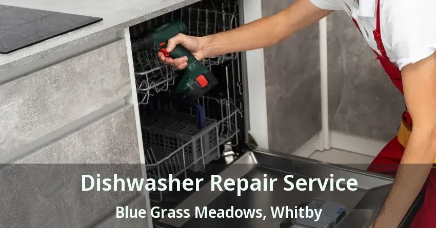 Dishwasher Repair Service Blue Grass Meadows, Whitby - ON
