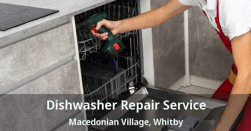 Dishwasher Repair Service Macedonian Village, Whitby - ON