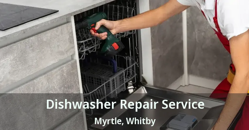 Dishwasher Repair Service Myrtle, Whitby - ON