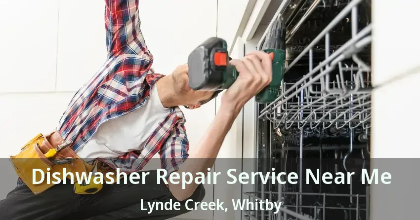 Dishwasher Repair Service Near Me Lynde Creek, Whitby - ON