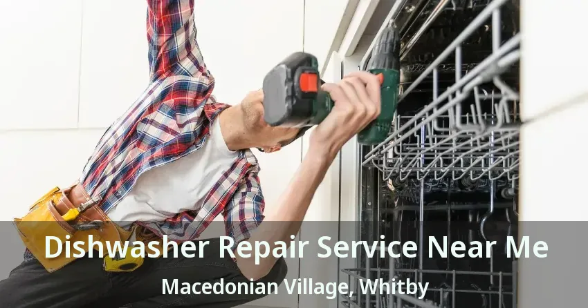 Dishwasher Repair Service Near Me Macedonian Village, Whitby - ON