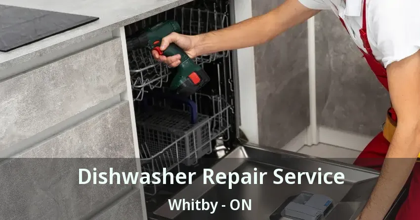 Dishwasher Repair Service Whitby - ON