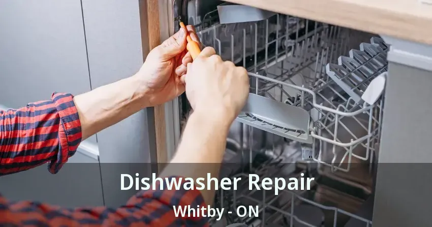 Dishwasher Repair Whitby - ON