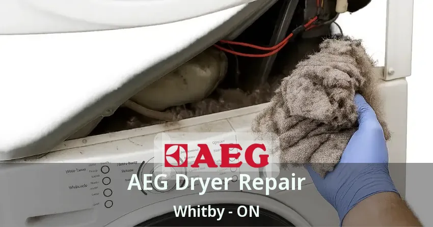 AEG Dryer Repair Whitby - ON