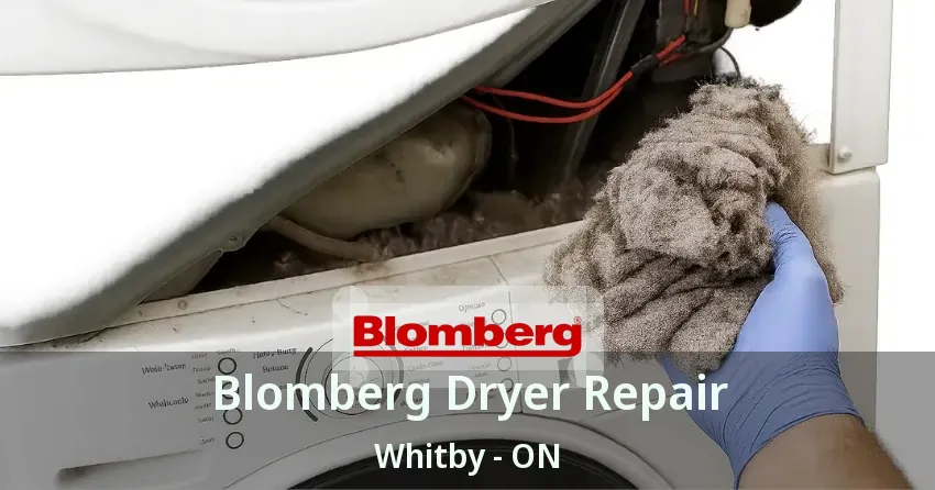 Blomberg Dryer Repair Whitby - ON