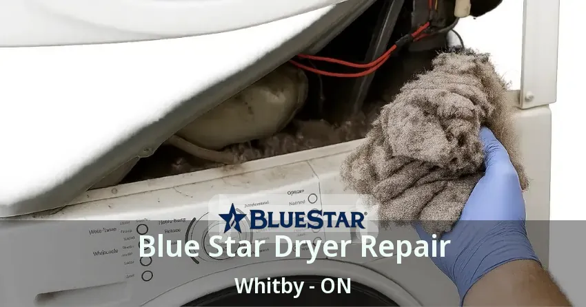 Blue Star Dryer Repair Whitby - ON