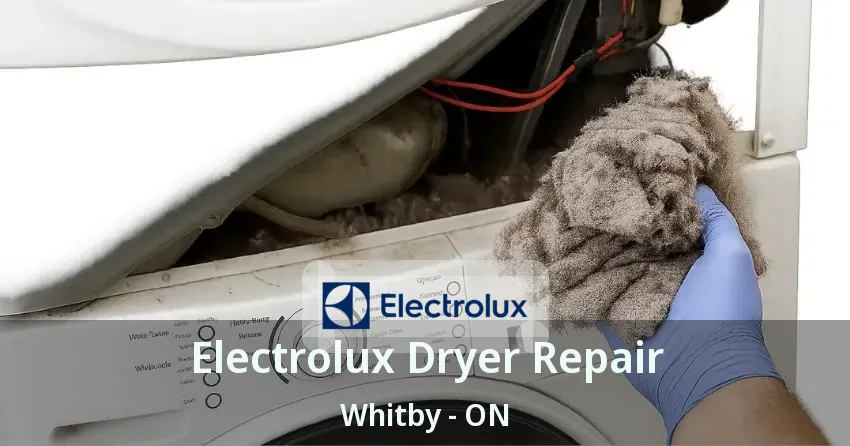 Electrolux Dryer Repair Whitby - ON