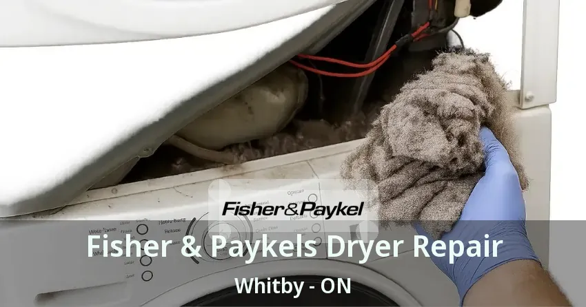 Fisher & Paykels Dryer Repair Whitby - ON
