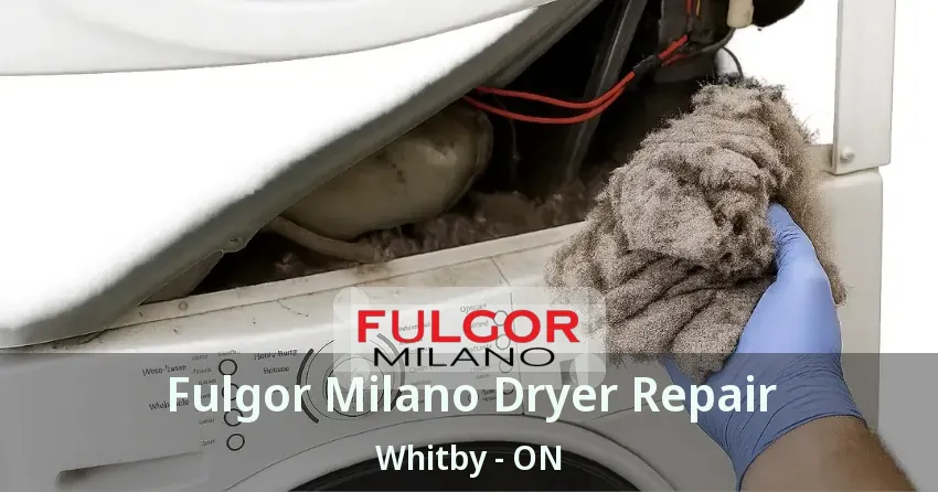 Fulgor Milano Dryer Repair Whitby - ON
