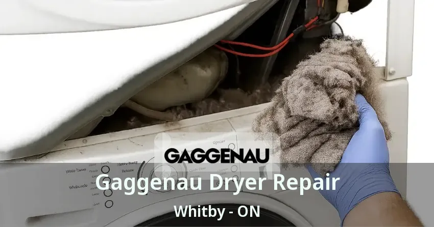 Gaggenau Dryer Repair Whitby - ON
