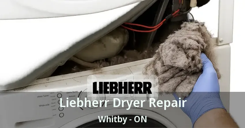 Liebherr Dryer Repair Whitby - ON