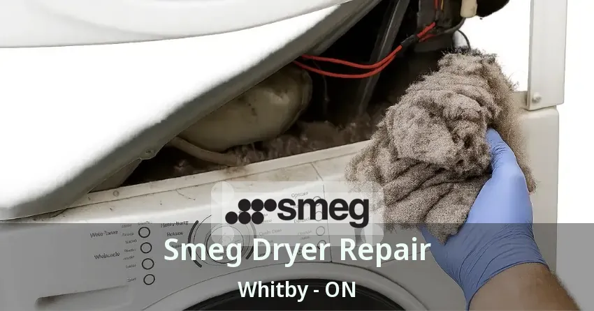 Smeg Dryer Repair Whitby - ON