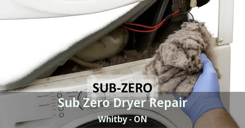 Sub Zero Dryer Repair Whitby - ON