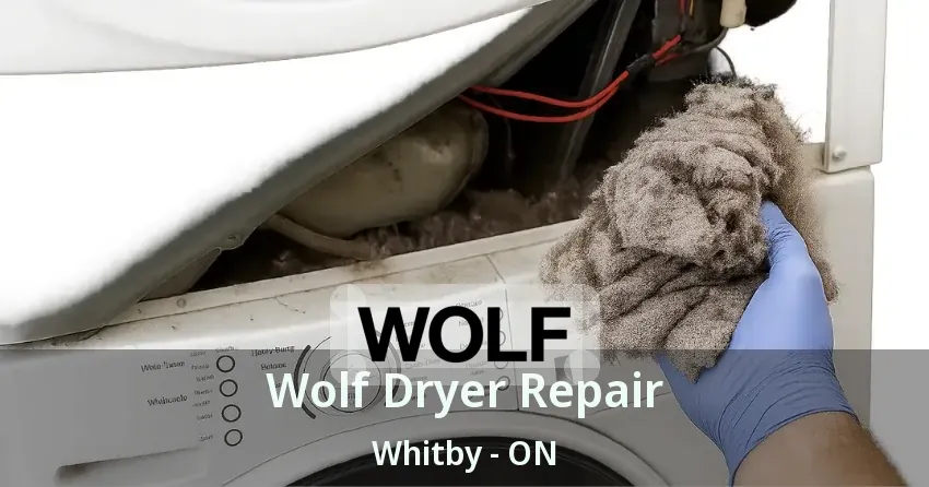 Wolf Dryer Repair Whitby - ON
