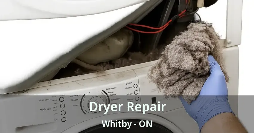 Dryer Repair Whitby - ON