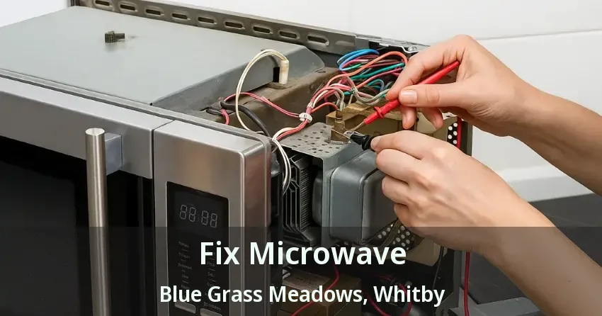Fix Microwave Blue Grass Meadows, Whitby - ON
