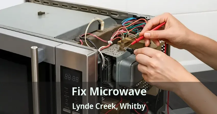 Fix Microwave Lynde Creek, Whitby - ON