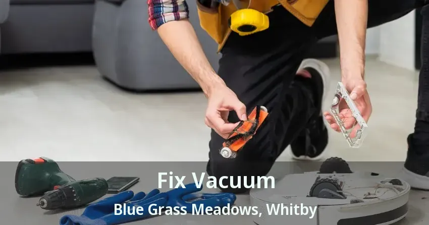 Fix Vacuum Blue Grass Meadows, Whitby - ON