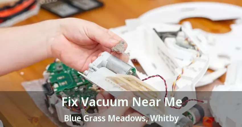 Fix Vacuum Near Me Blue Grass Meadows, Whitby - ON