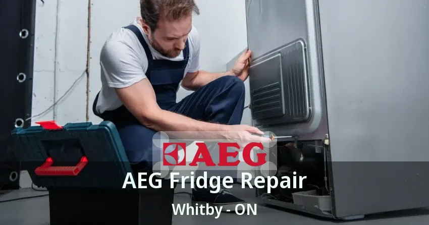 AEG Fridge Repair Whitby - ON