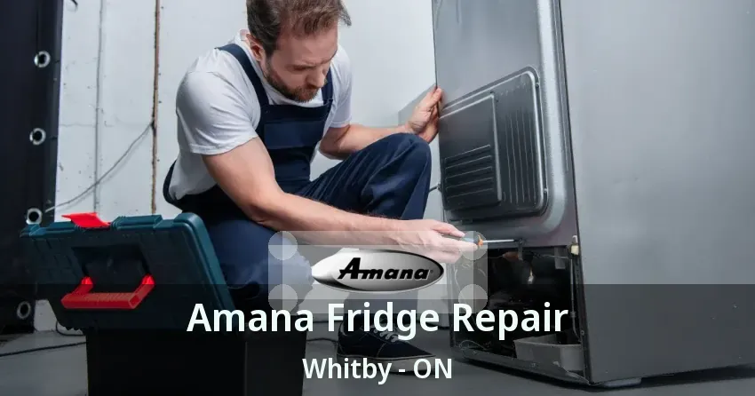 Amana Fridge Repair Whitby - ON