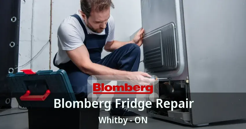 Blomberg Fridge Repair Whitby - ON