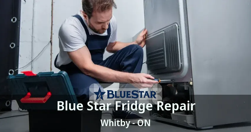 Blue Star Fridge Repair Whitby - ON