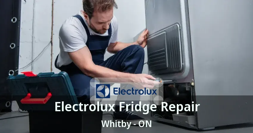 Electrolux Fridge Repair Whitby - ON
