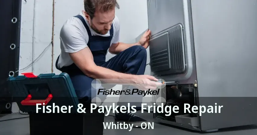 Fisher & Paykels Fridge Repair Whitby - ON